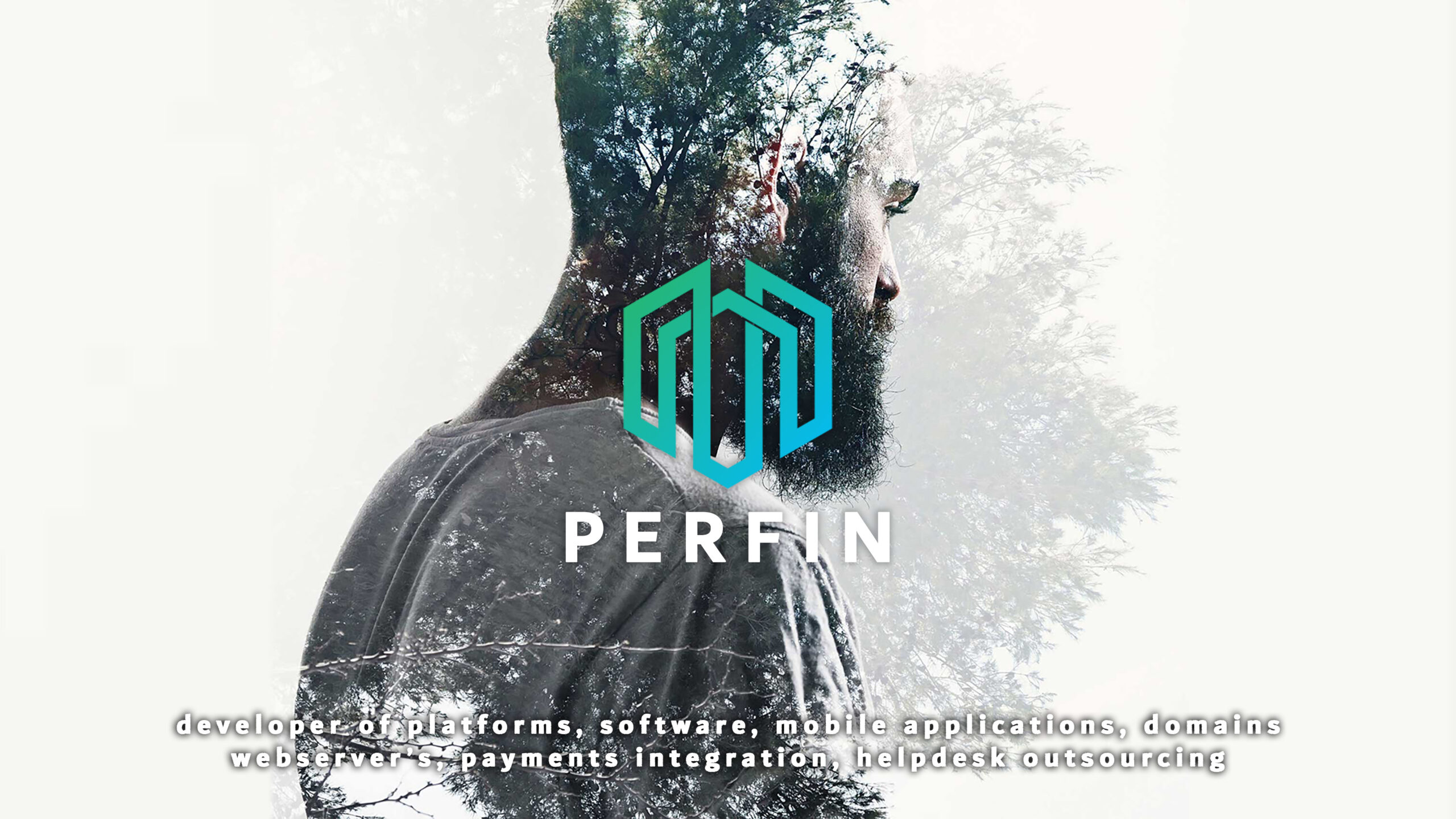 background-perfin+LOGO